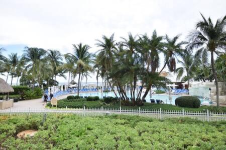 The Palms, Ocean View Studio Located At Ritz Carlton - Key Biscayne Miami Eksteriør bilde
