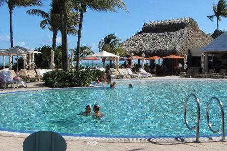 The Palms, Ocean View Studio Located At Ritz Carlton - Key Biscayne Miami Eksteriør bilde